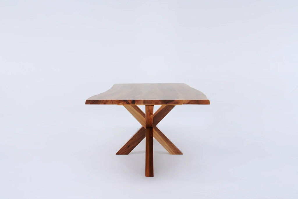 The Walnut Spider - My Store