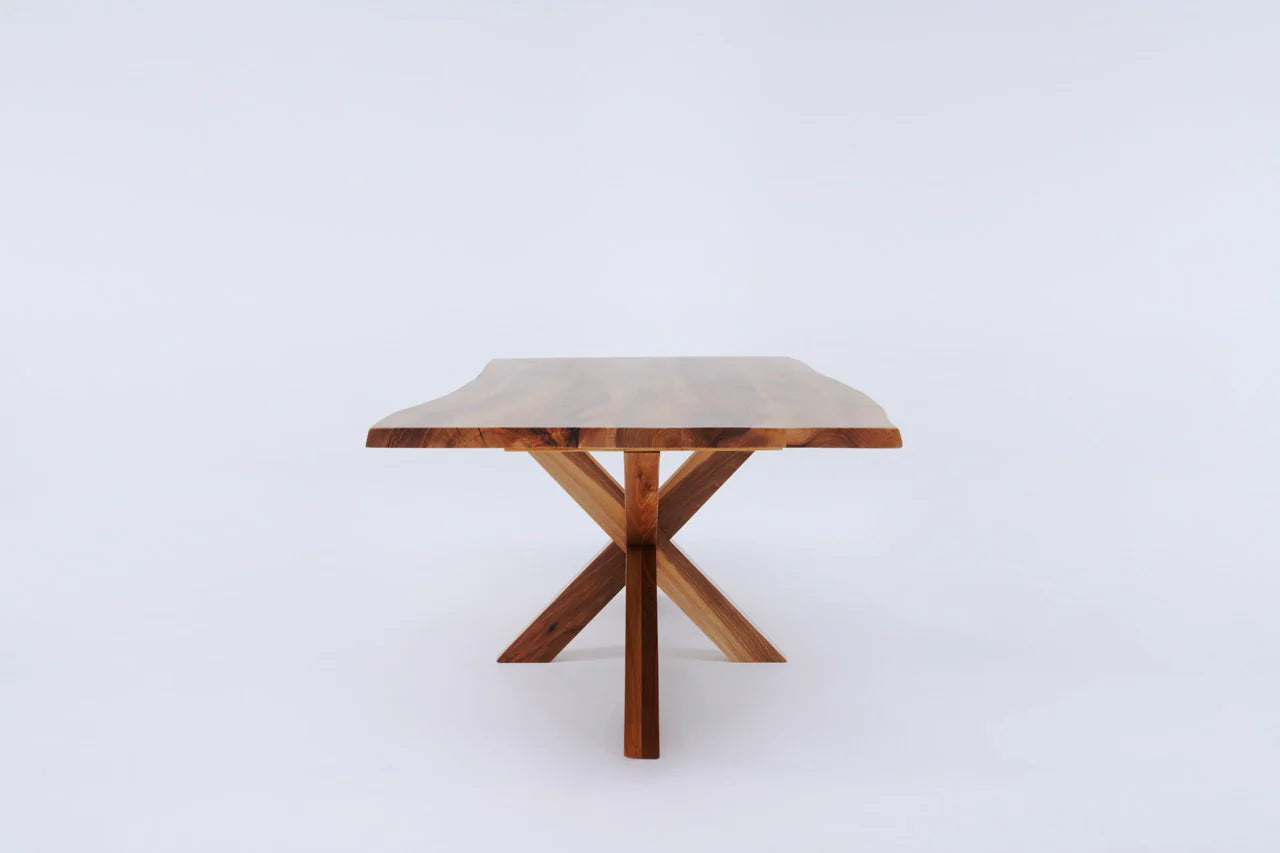 The Walnut Spider - My Store